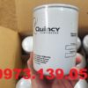 Lọc dầu máy nén khí Quincy 2 Genuine Oem Quincy Oil Filter 128381 050